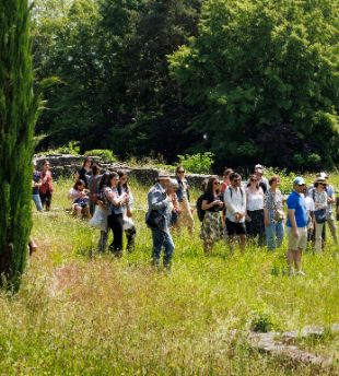 © © Pauline Daragon - MRV